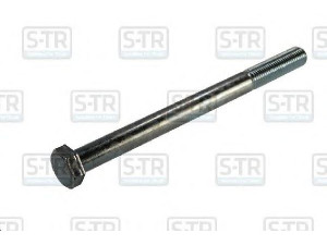 S-TR STR-4M20X260 lingės varžtas