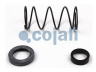COJALI 6012253 remonto komplektas, greitinimo vožtuvas
