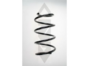 SPIDAN 56941 spyruoklė 
 Pakaba -> Spyruoklės
31 33 6 761 327