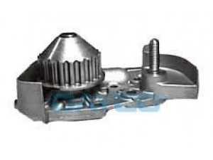 DAYCO DP026-S vandens siurblys