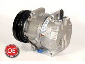 ELECTRO AUTO 20B0098 kompresorius, oro kondicionierius 
 Oro kondicionavimas -> Kompresorius/dalys
96450067, 96460070