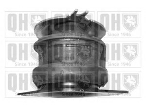 QUINTON HAZELL EM2502 variklio montavimas 
 Variklis -> Variklio montavimas -> Variklio montavimo rėmas
1H0 199 262J, 1H0 199 262L