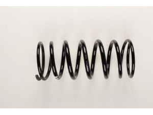 BILSTEIN 36-159413 spyruoklė 
 Pakaba -> Spyruoklės
460 324 0504
