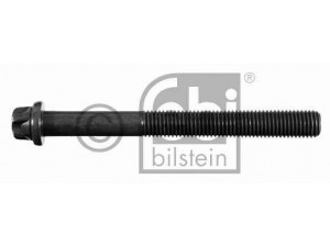 FEBI BILSTEIN 11725 cilindro galvutės varžtas 
 Variklis -> Cilindrų galvutė/dalys -> Cylindrų galvutės varžtas
51.90020.0235, 51.90020.0269, 51.90490.0023