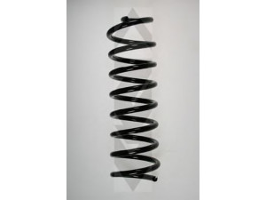 SPIDAN 85016 spyruoklė 
 Pakaba -> Spyruoklės
60 01 548 731