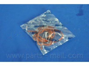 PARTS-MALL P1L-C010 tarpiklis, įsiurbimo / išleidimo kolektorius
96352281, P96352281