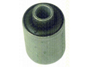 TRISCAN 8500 2724 valdymo svirties/išilginių svirčių įvorė 
 Ašies montavimas/vairavimo mechanizmas/ratai -> Valdymo svirtis/pasukamosios svirties sujungimas -> Montavimas/sutvirtinimas
1229714
