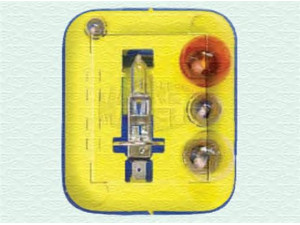 MAGNETI MARELLI 009491200000 asortimentas, lemputės