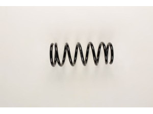 BILSTEIN 36-213306 spyruoklė 
 Pakaba -> Spyruoklės
-55020-BM420