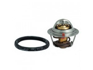 FISPA 94.288 termostatas, aušinimo skystis 
 Aušinimo sistema -> Termostatas/tarpiklis -> Thermostat
1767050G10000, 94580182, 96610574