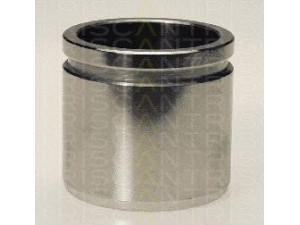 TRISCAN 8170 234844 stūmoklis, stabdžių apkaba