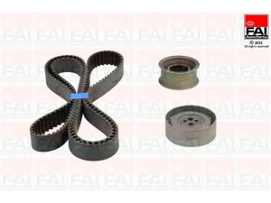 FAI AutoParts TBK315 paskirstymo diržo komplektas 
 Techninės priežiūros dalys -> Papildomas remontas
078198119A