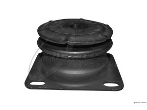 TRUCKTEC AUTOMOTIVE 01.20.017 variklio montavimas
366 223 0812
