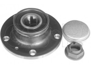 GSP 9230098K rato guolio komplektas
1604360, 93190216