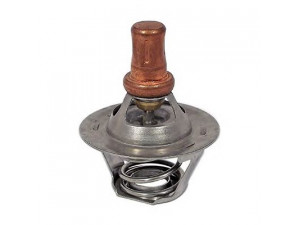 FISPA 94.247 termostatas, aušinimo skystis 
 Aušinimo sistema -> Termostatas/tarpiklis -> Thermostat
7700742617, 7700858802