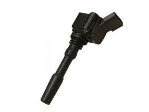 HITACHI 134052 ritė, uždegimas 
 Kibirkšties / kaitinamasis uždegimas -> Uždegimo ritė
95890511000, 06H905110D, 06H905110E