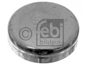 FEBI BILSTEIN 02543 užšalęs kaištis 
 Variklis -> Karteris -> Variklio blokas
05073860AA, 5073860AA, 05073860AA