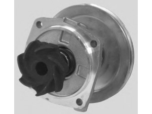 OPEN PARTS WAP8083.00 vandens siurblys 
 Aušinimo sistema -> Vandens siurblys/tarpiklis -> Vandens siurblys
5893340, 5894130, 5894583, 71719686