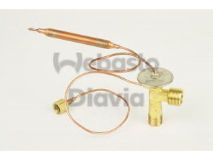 WEBASTO 82D058539MA išsiplėtimo vožtuvas, oro kondicionavimas; išsiplėtimo vožtuvas, oro kondicionavimas