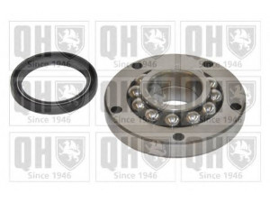 QUINTON HAZELL QWB450 rato guolio komplektas 
 Ašies montavimas/vairavimo mechanizmas/ratai -> Rato stebulė/montavimas -> Rato guolis
5428352, 95619163