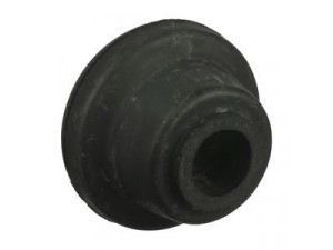 DELPHI TD993W valdymo svirties/išilginių svirčių įvorė 
 Ašies montavimas/vairavimo mechanizmas/ratai -> Valdymo svirtis/pasukamosios svirties sujungimas -> Montavimas/sutvirtinimas
9209466, 42451-76G00, 9209466