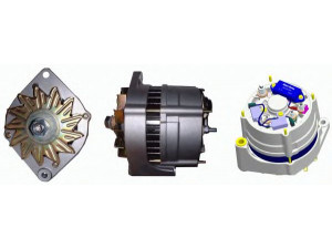 DELCO REMY 19025118 kintamosios srovės generatorius