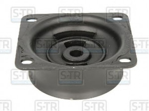 S-TR STR-120371 variklio montavimas
3102420113