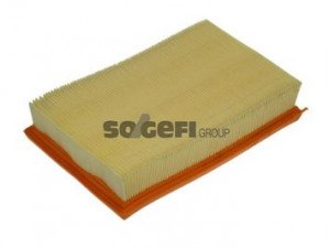 PURFLUX A1109 oro filtras 
 Filtrai -> Oro filtras
J1328027, 1378086G00, 1378083E00