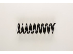 BILSTEIN 36-159574 spyruoklė 
 Pakaba -> Spyruoklės
202 321 13 04