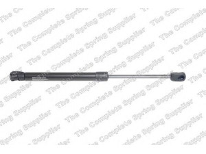 ROC GS1646 dujinė spyruoklė, bagažinė 
 Priedai -> Bagažinė/pakrovimo skyrius
51242759034