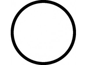 ELRING 497.360 tarpiklis, įsiurbimo kolektorius 
 Variklis -> Cilindrų galvutė/dalys -> Įsiurbimo kolektoriaus tarpiklis/sandarinimo žiedas
0348.S1