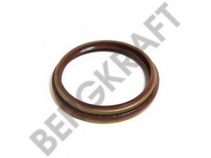BERGKRAFT BK6120103 veleno sandariklis, rato stebulė
40101120, 40101123, 40102100, 40102103