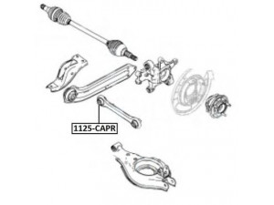 ASVA 1125-CAPR vikšro valdymo svirtis 
 Ašies montavimas/vairavimo mechanizmas/ratai -> Valdymo svirtis/pasukamosios svirties sujungimas -> Vairo trauklės (valdymo svirtis, išilginis balansyras, diago
4804807, 96626425