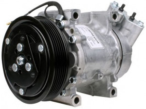 PowerMax 7010116 kompresorius, oro kondicionierius 
 Oro kondicionavimas -> Kompresorius/dalys
7700111235, 7701499970, 8200509067