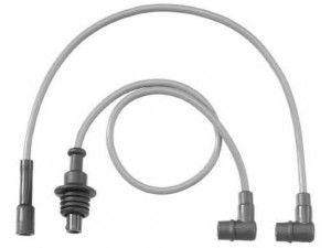 BERU C21 uždegimo laido komplektas 
 Kibirkšties / kaitinamasis uždegimas -> Uždegimo laidai/jungtys
