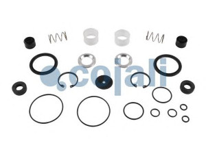 COJALI 6012306 remonto komplektas