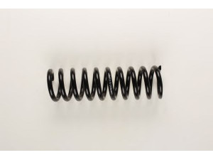 BILSTEIN 36-154029 spyruoklė 
 Pakaba -> Spyruoklės
202 321 11 04