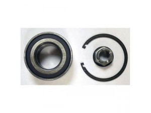 DELPHI BK1669 rato guolio komplektas
402107049R