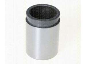 TRISCAN 8170 233854 stūmoklis, stabdžių apkaba