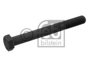 FEBI BILSTEIN 01195 varžtas
N 010 189 1