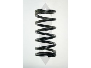 SPIDAN 55564 spyruoklė 
 Pakaba -> Spyruoklės
JLM657