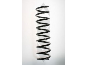 SPIDAN 49756 spyruoklė 
 Pakaba -> Spyruoklės
33 53 1 093 635