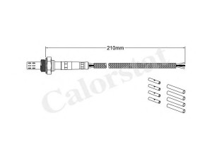 CALORSTAT by Vernet LS030079 lambda jutiklis 
 Išmetimo sistema -> Lambda jutiklis
B31R-18-861A