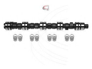 CAMPRO CP61103 skirstomojo veleno komplektas 
 Variklis -> Variklio uždegimo laiko reguliavimo kontrolė -> Skirstomasis velenas
1614 766, 1679 242