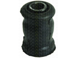 TRISCAN 8500 13807 valdymo svirties/išilginių svirčių įvorė 
 Ašies montavimas/vairavimo mechanizmas/ratai -> Valdymo svirtis/pasukamosios svirties sujungimas -> Montavimas/sutvirtinimas
48068-05070, 48069-05070