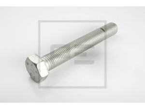 PE Automotive 064.051-00A varžtas
4 343 1048 88