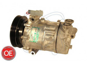 ELECTRO AUTO 20A1218 kompresorius, oro kondicionierius 
 Oro kondicionavimas -> Kompresorius/dalys
9636729480, 9636729480, 9636729480