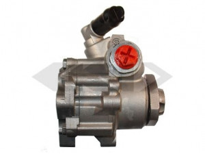 SPIDAN 53896 hidraulinis siurblys, vairo sistema 
 Vairavimas -> Vairo pavara/siurblys
1H0145157