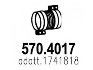 ASSO 570.4017 lanksti žarna, išmetimo sistema 
 Išmetimo sistema -> Išmetimo vamzdžiai
1741818
