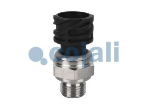 COJALI 2260283 jutiklis
21302639, 21634021